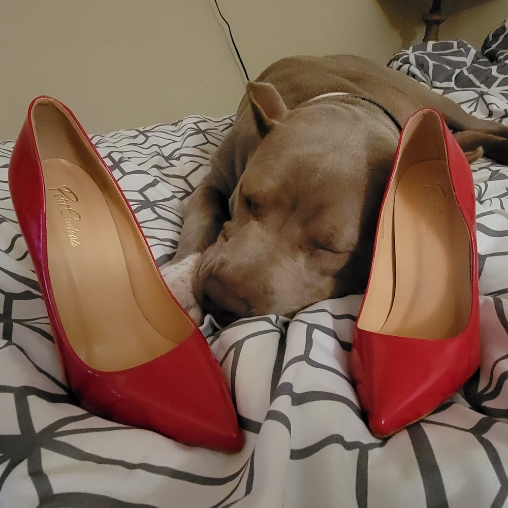 Red Stilletos - Picture 5 of 5
